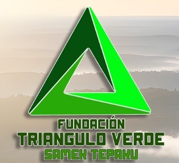 Logotipo de la Fundación Triángulo Verde