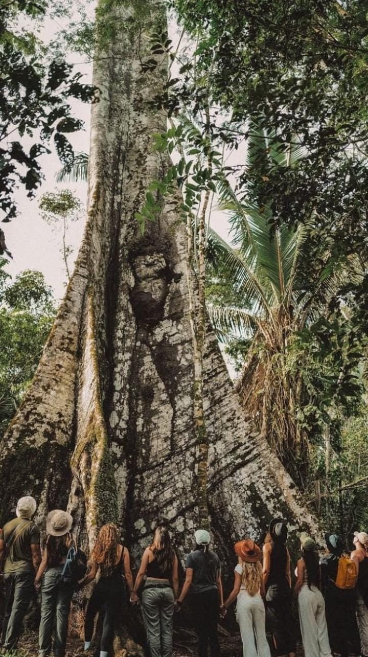Grupo de personas de la mano frente a una ceiba gigante